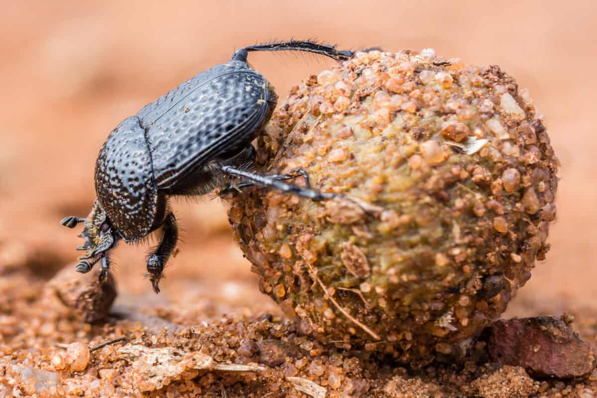 HR Talks Wellness. OHS Prevents Harm. Time to Bridge the Gap.