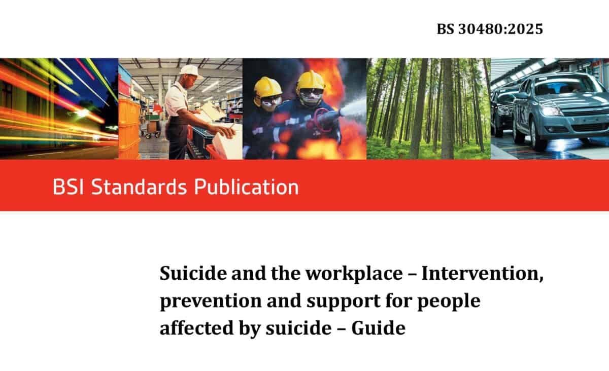 How BS30480 Challenges Tokenistic Mental Health Programs